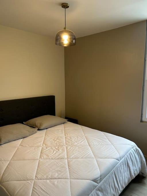 Grand Appartement De Standing Saint-Dizier Ngoại thất bức ảnh